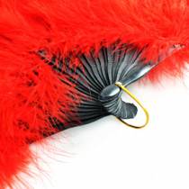 EVENTAIL PLUMES ROUGES