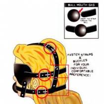 HEAD HARNESS WITH GAG