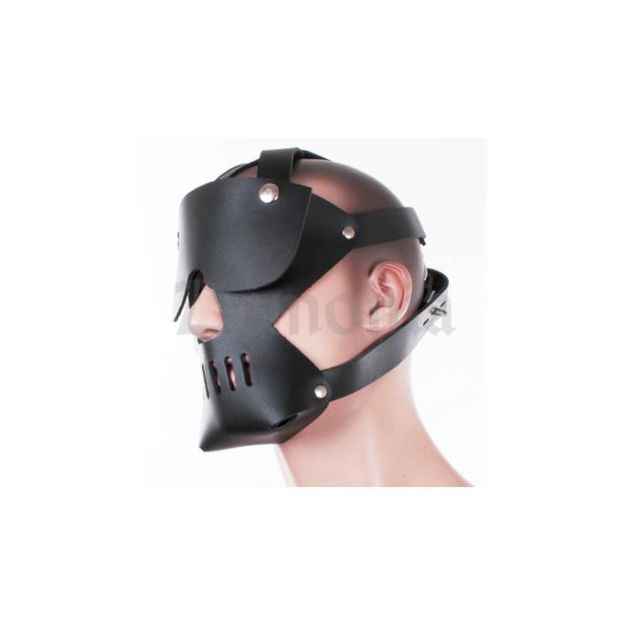 HEAD HARNESS MUZZLE