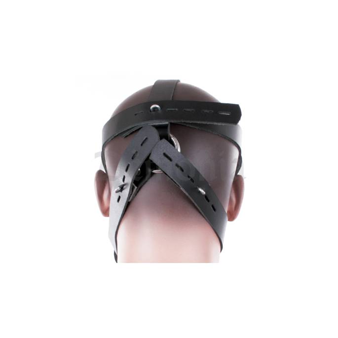HEAD HARNESS MUZZLE