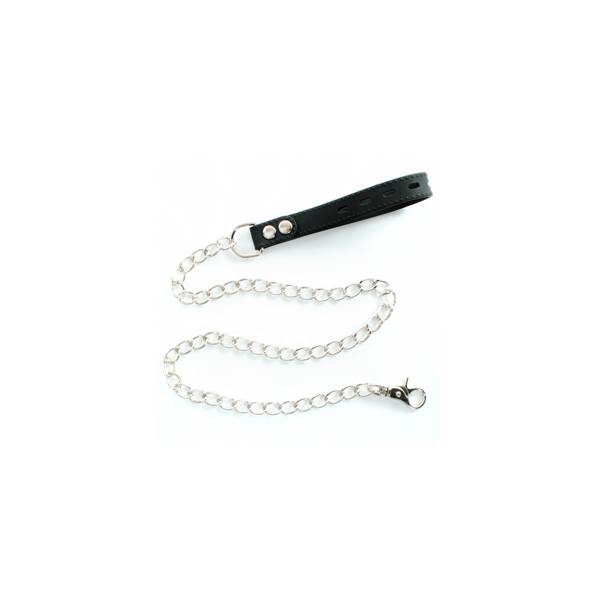 METAL LEASH WITH SILICONE HANDLE