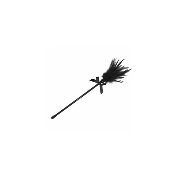 SMALL BLACK FEATHER