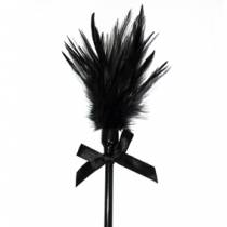 PEQUEÑA PLUMA NEGRA