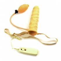 VIBRATING PENIS CASE
