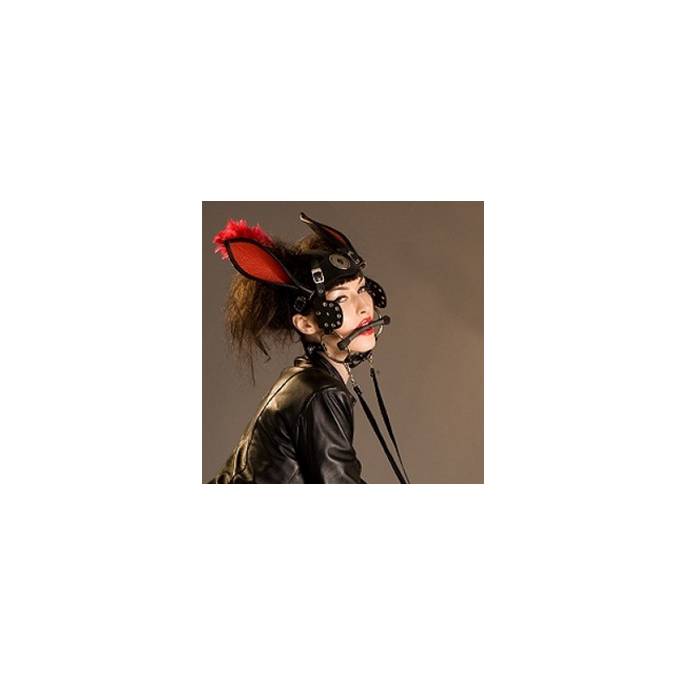 HARNAIS DE TETE PONY GIRL