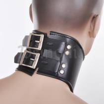 LEDERHALSBAND AUS MINERVA + RING