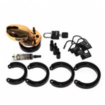CB 6000 ORO PEQUEÑO
