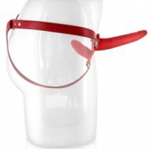 RED INTERNAL/EXTERNAL BELT DILDO