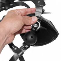 DOG MASK + BALL GAG