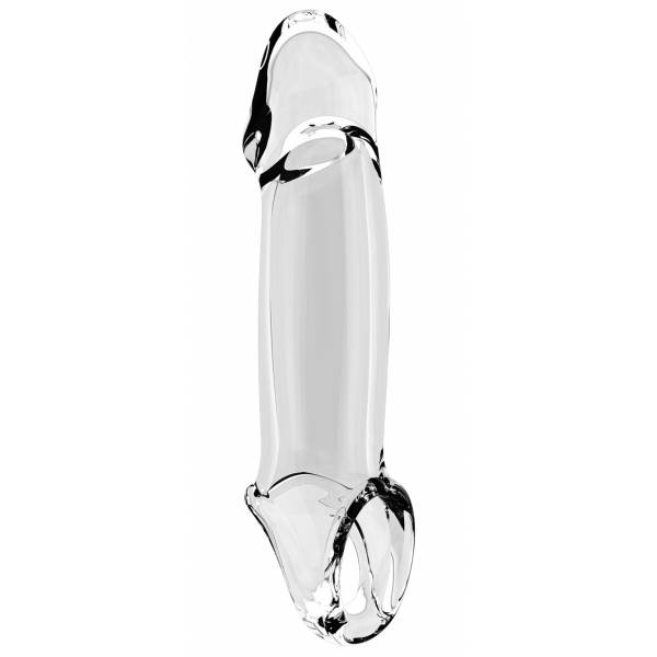 LARGE TRANSPARENT PENIAN CASE