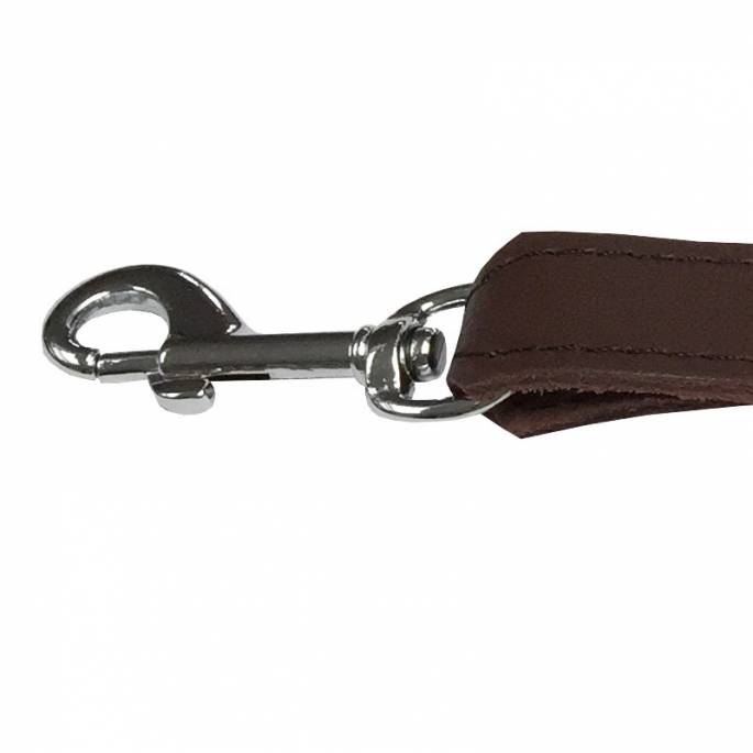 LEATHER STRAP + DOUBLE CARABINERS