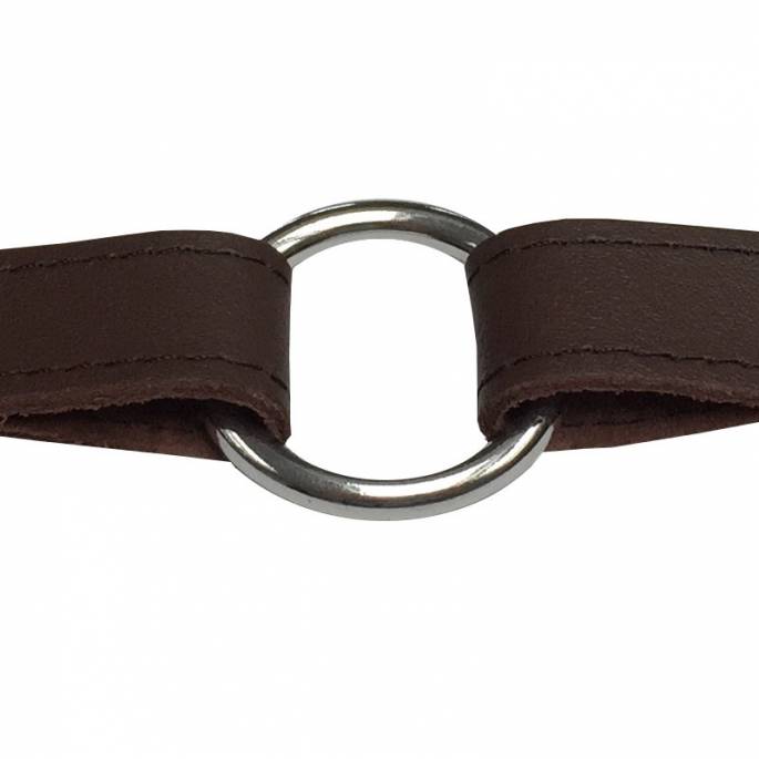LEATHER STRAP + DOUBLE CARABINERS