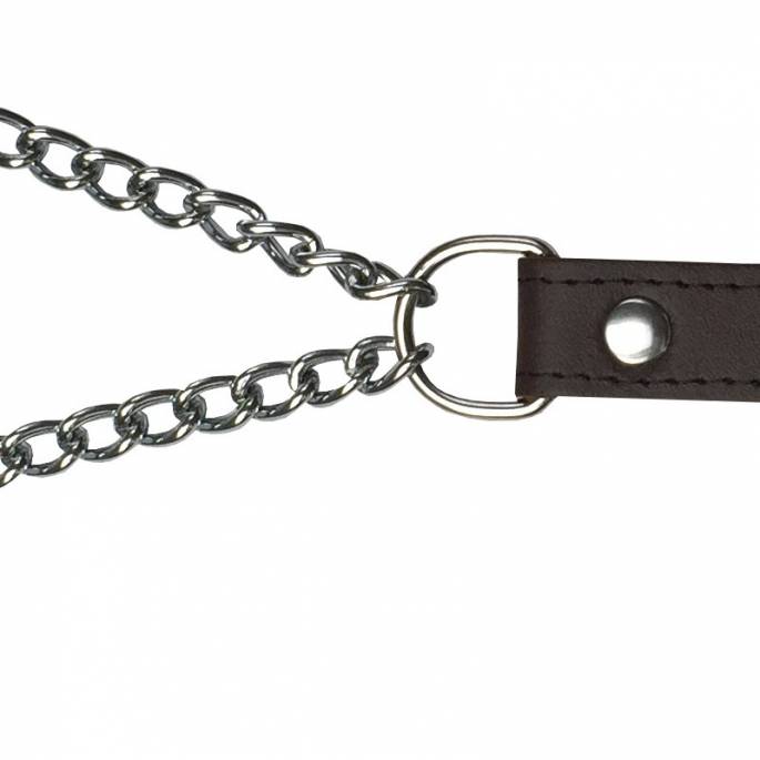 LEASH + ADJUSTABLE BREAST CLAMPS