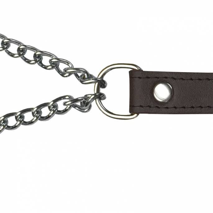 LEASH + BREAST CLAMPS