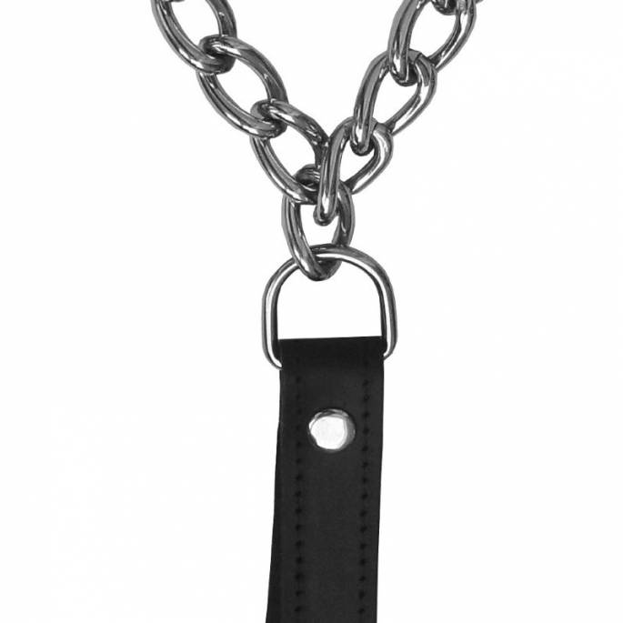 LEASH + ADJUSTABLE BREAST CLAMPS