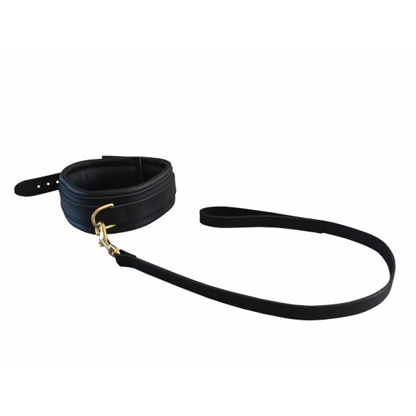 COLLAR + LEASH WITH BLACK LEATHER HANDLE