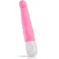 VIBRO PAUL & PAULINA ROSE