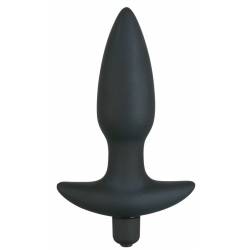 plug anal vibrador