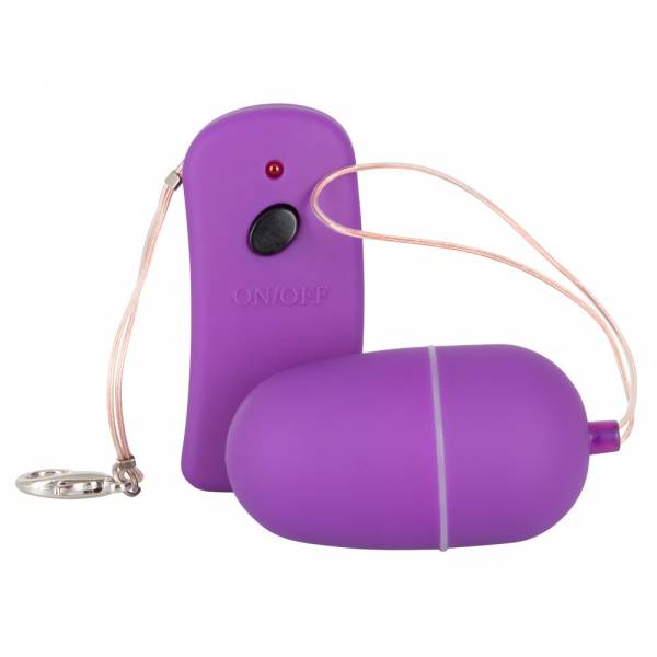 WIRELESS VIBRATING EGG