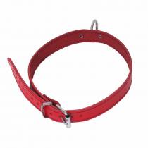 COLLIER FIN CUIR ROUGE + ANNEAU