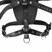 RÜCKENZWANG 8 RIEMEN