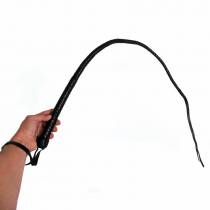 SINGLE TAIL LEDER + 2 STRÄNGE LEDER