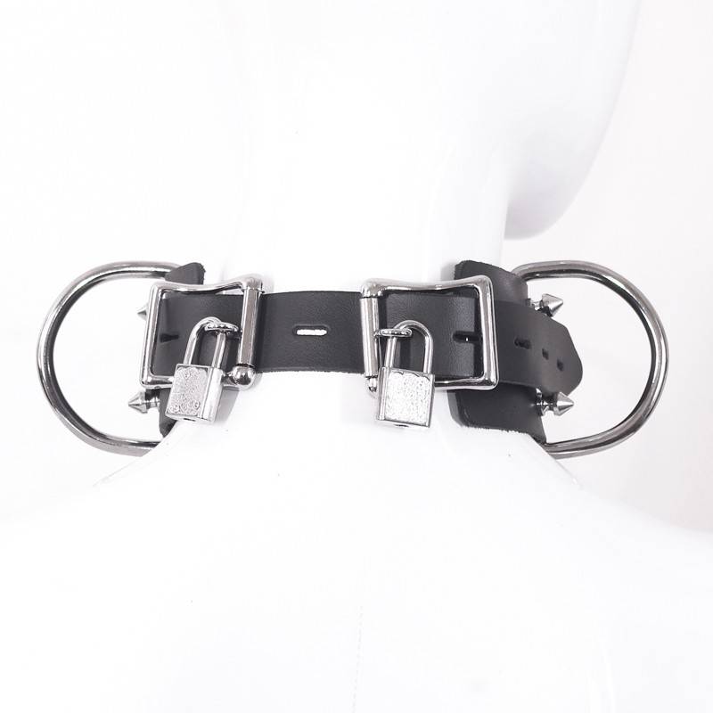 floh halsband hund PharmaDog Zecken & Flohhalsband Großer Hund main image 1