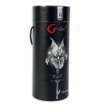 VIBRO G-VIBE2 ANATOMISCHER MASSAGER