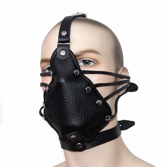 HEAD HARNESS