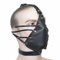 HEAD HARNESS