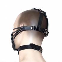 HEAD HARNESS