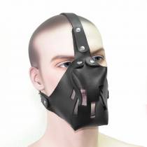 HEAD HARNESS