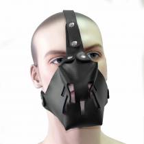 HEAD HARNESS