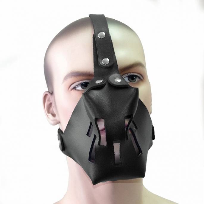 HEAD HARNESS