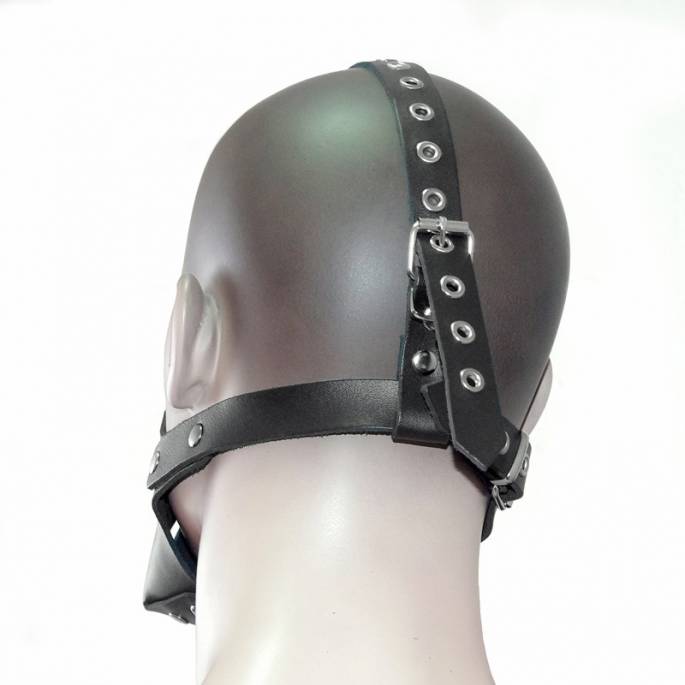 HEAD HARNESS