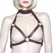 HARNAIS S.G. + COLLIER CUIR MARRON