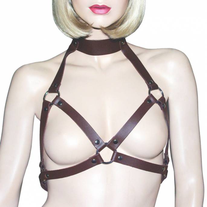 S.G.-GESCHIRR + BRAUNES LEDERHALSBAND