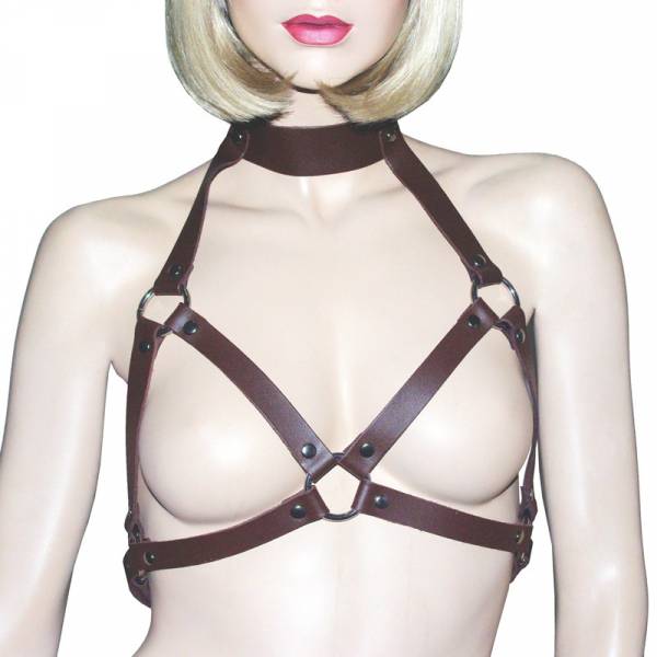 S.G.-GESCHIRR + BRAUNES LEDERHALSBAND