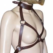 S.G.-GESCHIRR + BRAUNES LEDERHALSBAND