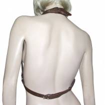 S.G.-GESCHIRR + BRAUNES LEDERHALSBAND