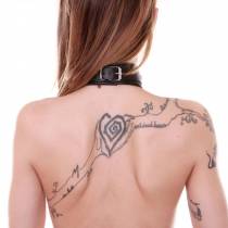 HALSBAND + KETTE PROGRESSIVE KLEMMEN