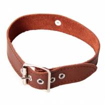 COLLIER CUIR MARRON 2,5CM