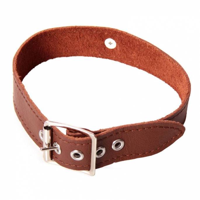 COLLIER CUIR MARRON 2,5CM