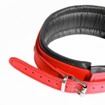 LEDERHALSBAND ROT /SCHWARZ