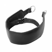 LEDERHALSBAND + ZWANGSRING