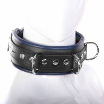 COLLIER CUIR NOIR/BLEU CADENASSABLE + 4 ANNEAUX