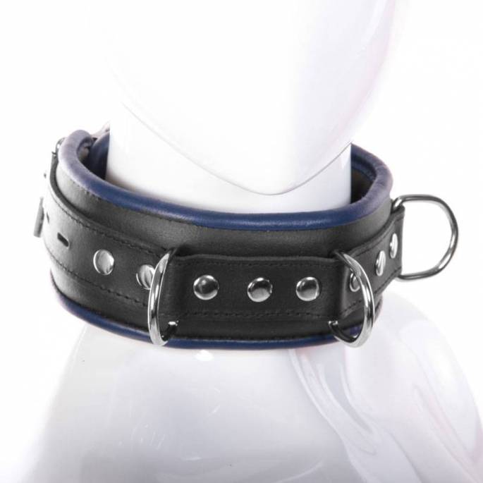 COLLIER CUIR NOIR/BLEU CADENASSABLE + 4 ANNEAUX