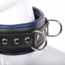 COLLIER CUIR NOIR/BLEU CADENASSABLE + 4 ANNEAUX