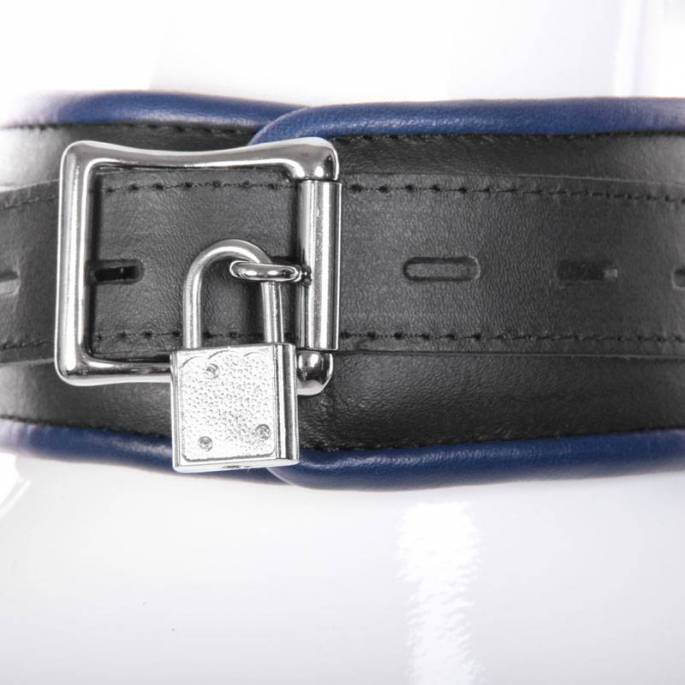 COLLIER CUIR NOIR/BLEU CADENASSABLE + 4 ANNEAUX