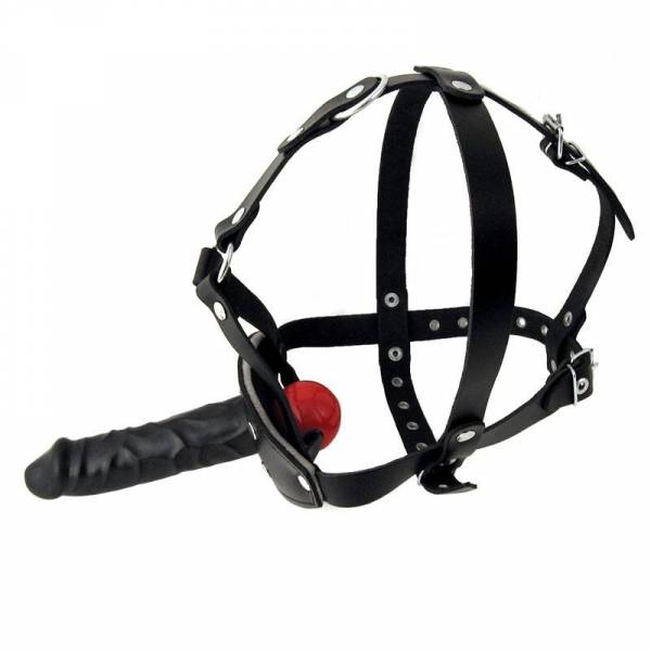 PENIS HARNESS AND BALL GAG